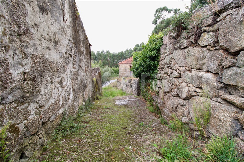 Moinho  Santo Tirso, Monte Córdova - 1315666 - 17