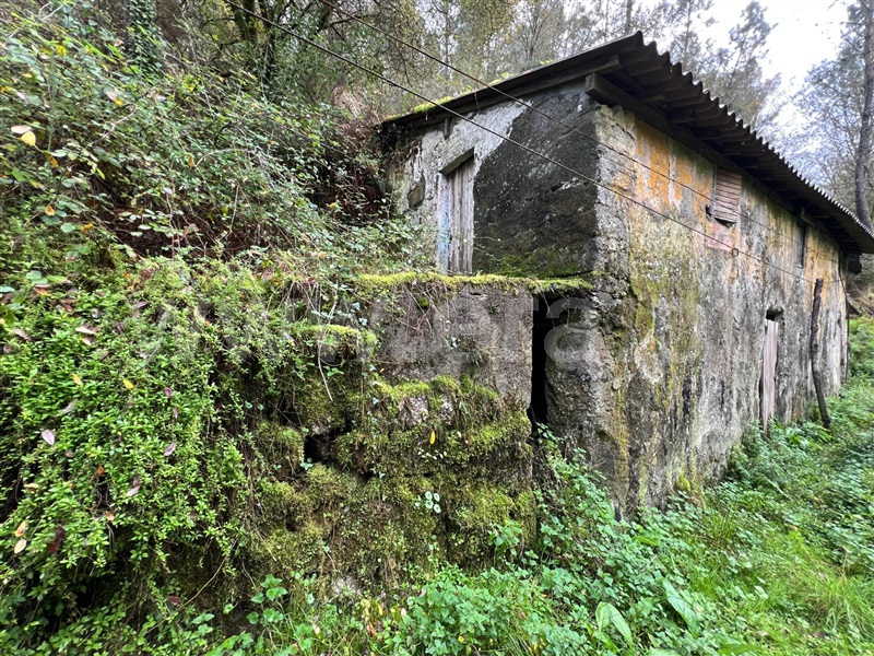Moinho T1 / Arcos de Valdevez, Rio Frio