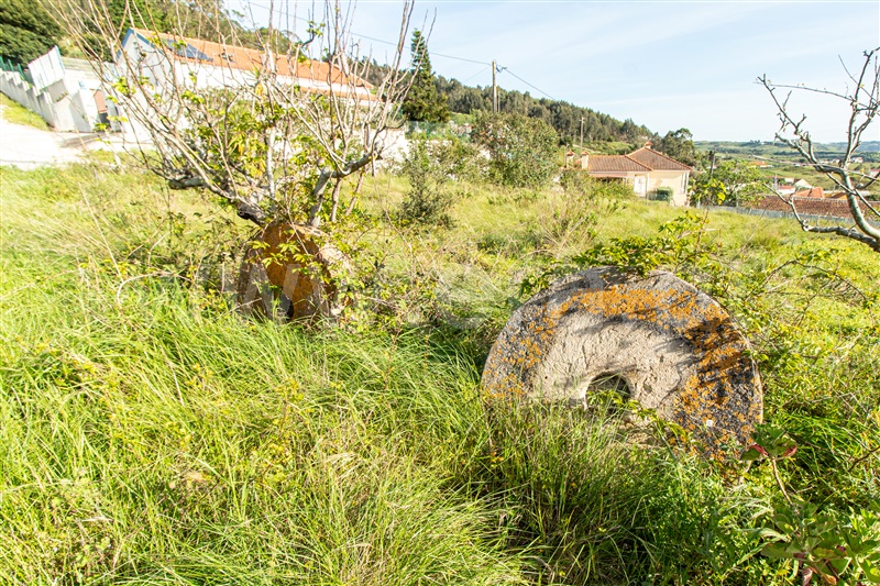Moinho T2 Torres Vedras, Turcifal - 1469185 - 9