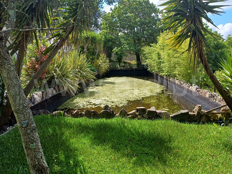 Herdade  Vila Nova de Famalicão, Ribeirão - 1415456 - 5