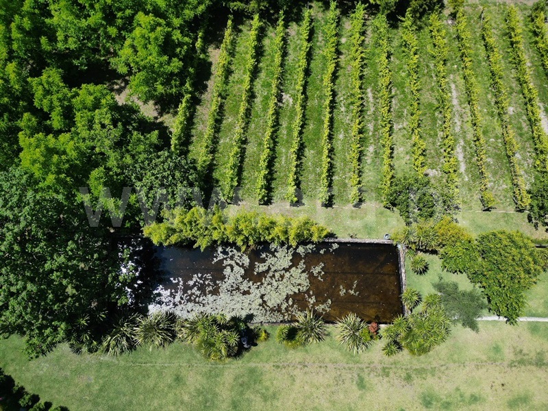 Herdade  Vila Nova de Famalicão, Ribeirão - 1415456 - 11
