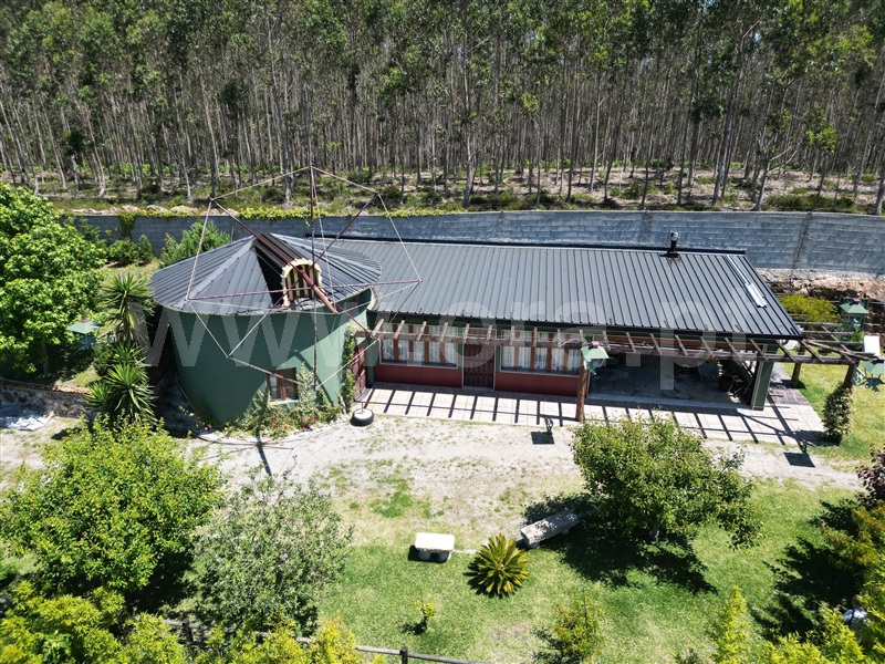 Herdade  Vila Nova de Famalicão, Ribeirão - 1415456 - 12