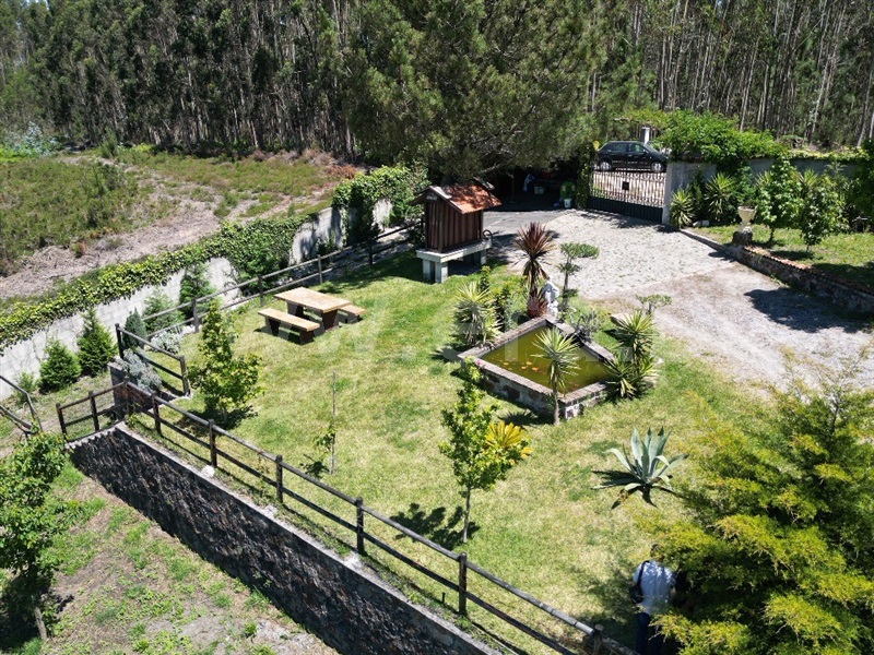 Moinho / Vila Nova de Famalicão, Ribeirão
