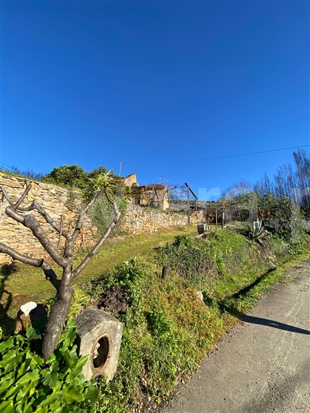 House in Albergaria-a-Velha - View 4