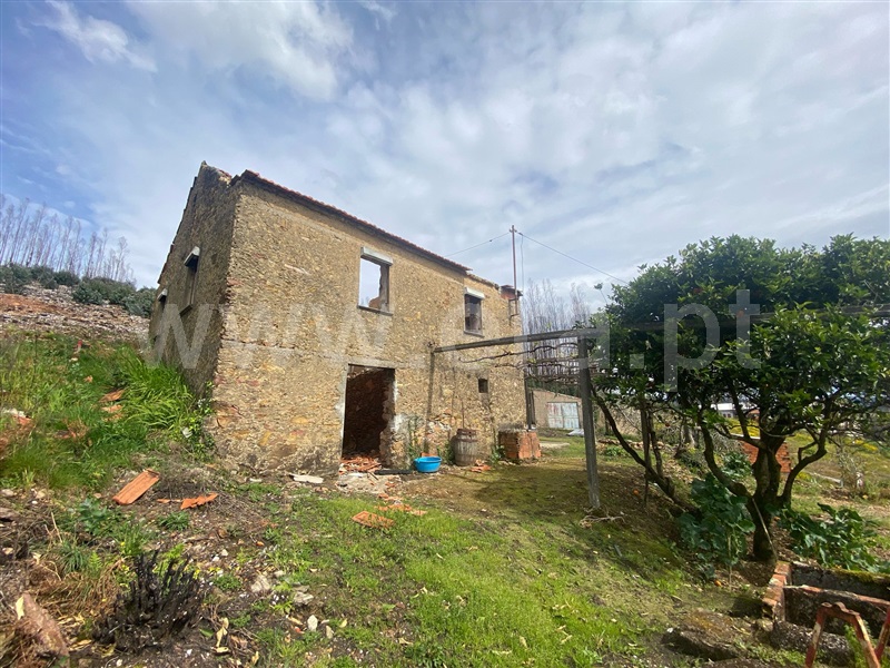 House in Albergaria-a-Velha - View 3