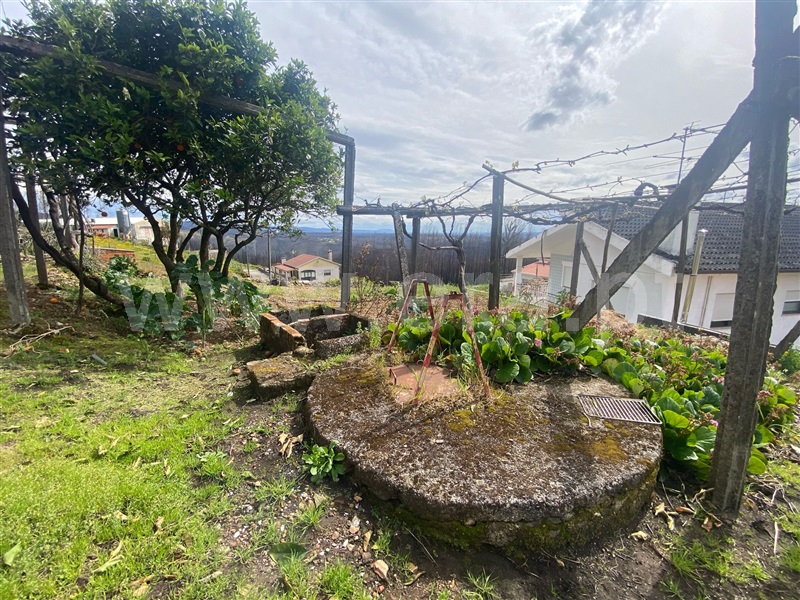 House in Albergaria-a-Velha