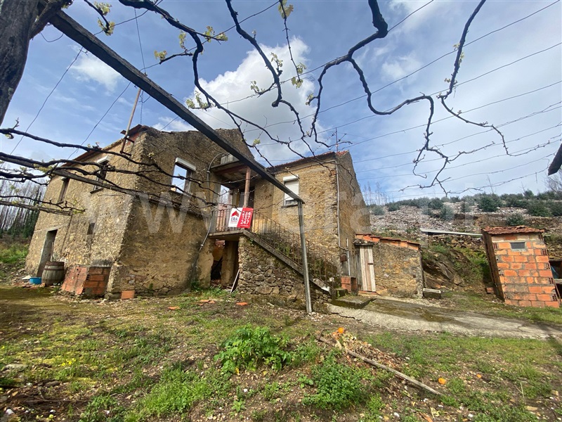 Moradia / Albergaria-a-Velha, Vila Nova de Fusos