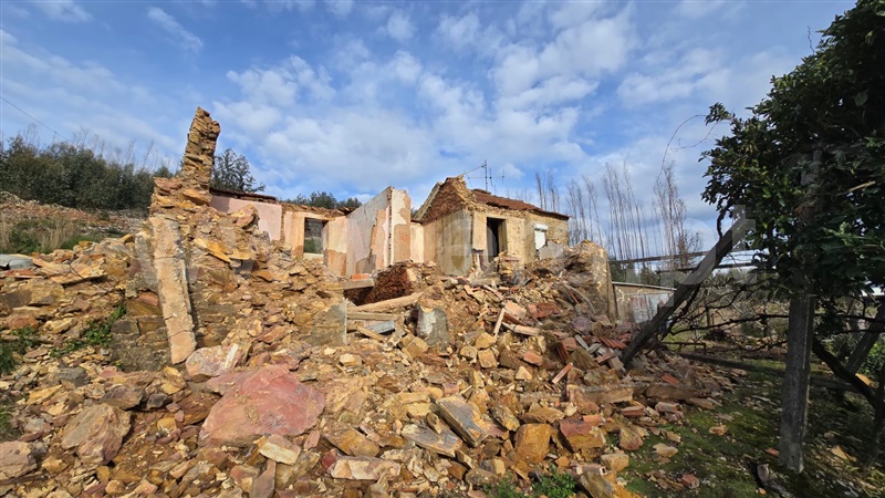 House in Albergaria-a-Velha - More