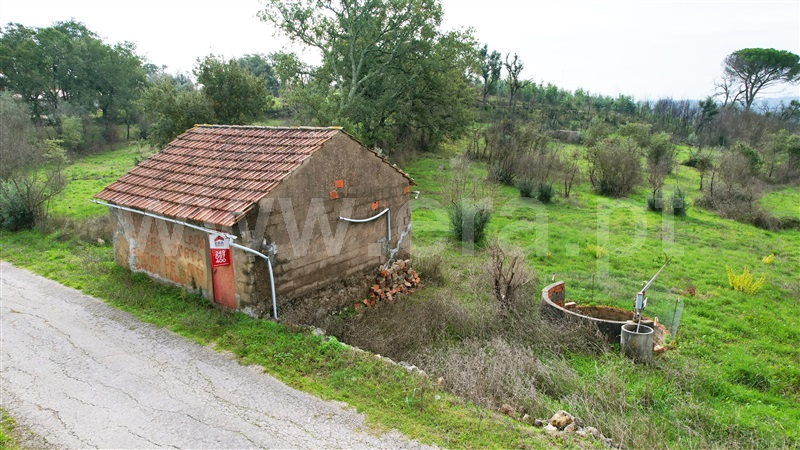 Moradia / Alvaiázere, Pelmá
