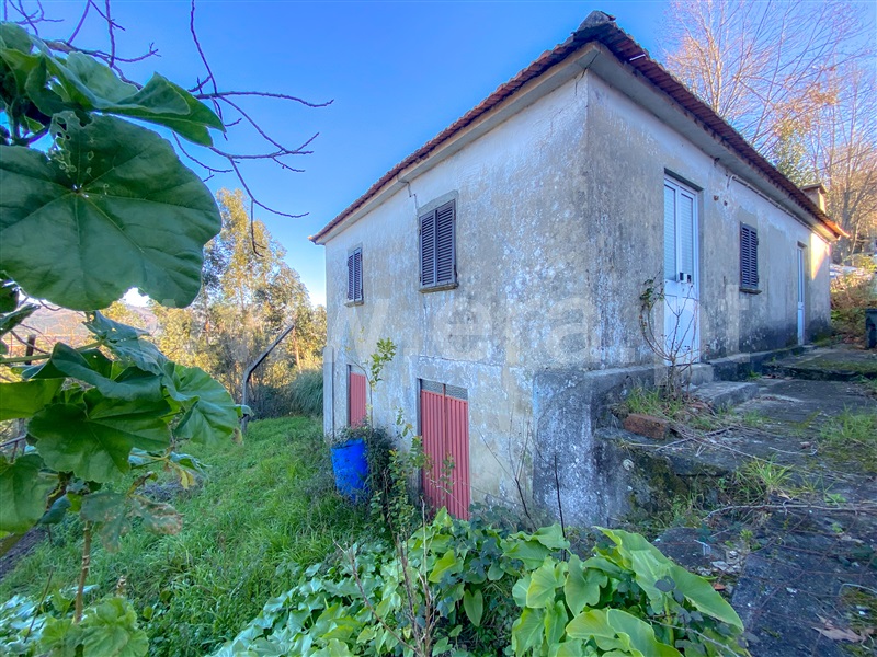 Moradia  Amarante, Fridão - 1302652 - 1