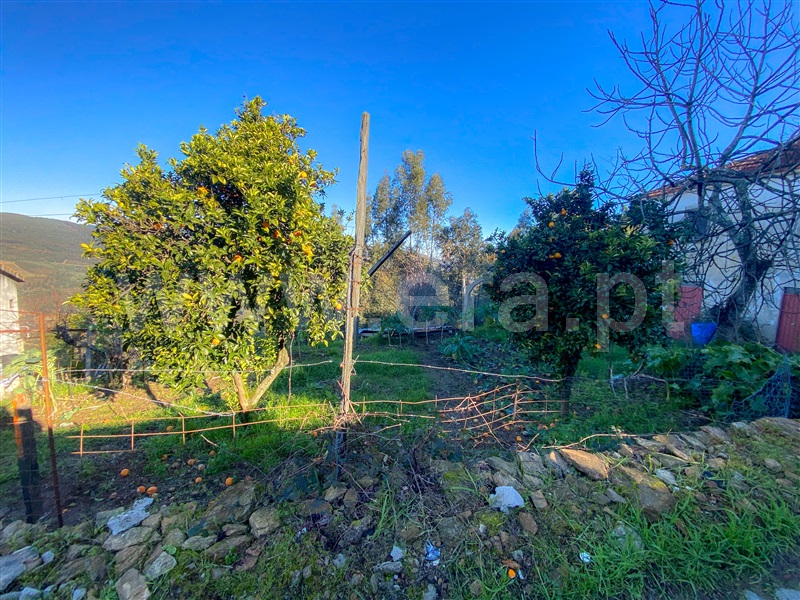 Moradia  Amarante, Fridão - 1302652 - 2