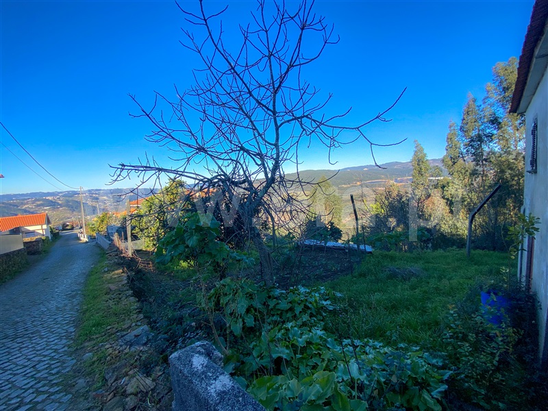 Moradia  Amarante, Fridão - 1302652 - 5