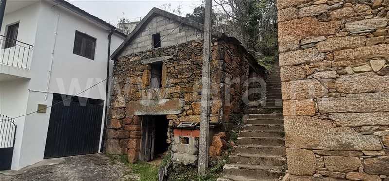 Moradia / Amarante, Olo e Canadelo