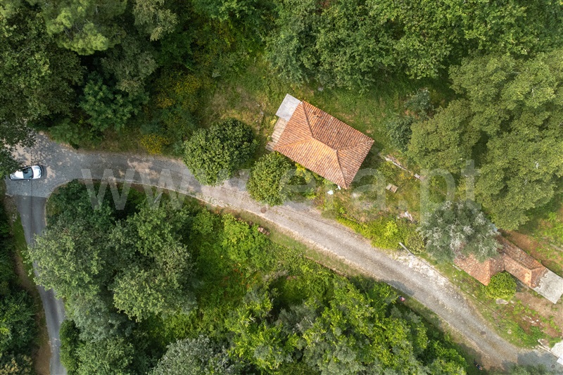 Moradia  Amares, Caldelas, Sequeiros e Paranhos - 1336201 - 11