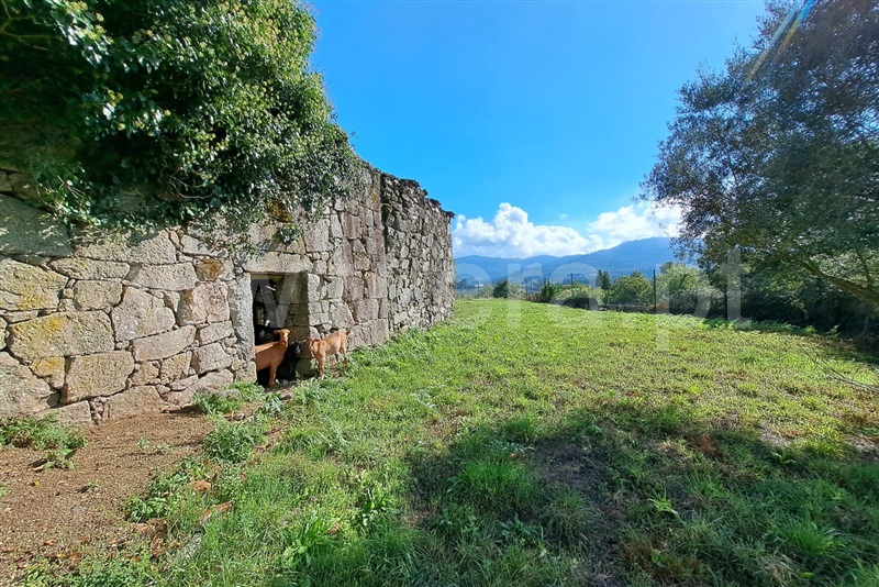 Moradia  Arcos de Valdevez, Jolda (Madalena) e Rio Cabrão - 1432353 - 12
