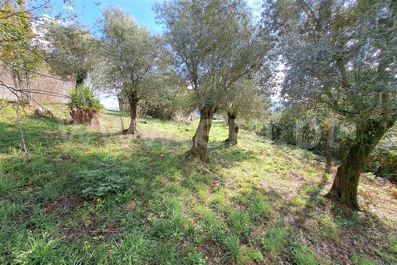Moradia  Arcos de Valdevez, Jolda (Madalena) e Rio Cabrão - 1432353 - 15