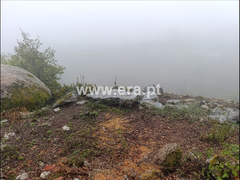 Moradia em Miranda, €15.000