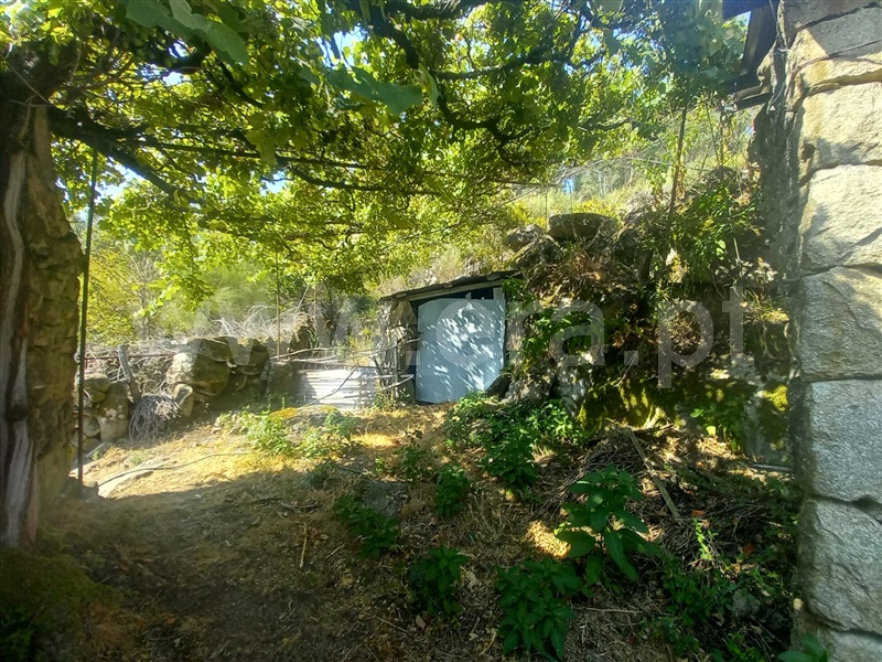 Moradia  Arcos de Valdevez, Soajo - 1268258 - 7