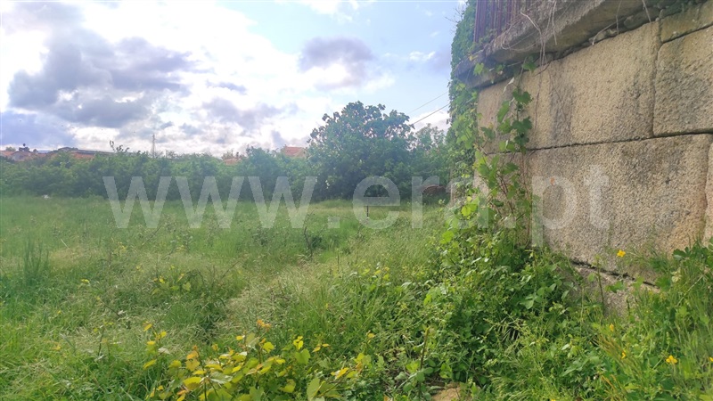 Moradia  Armamar, Cimbres - 1244023 - 3