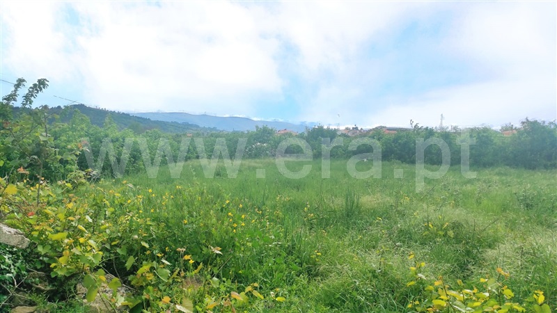 Moradia  Armamar, Cimbres - 1244023 - 5