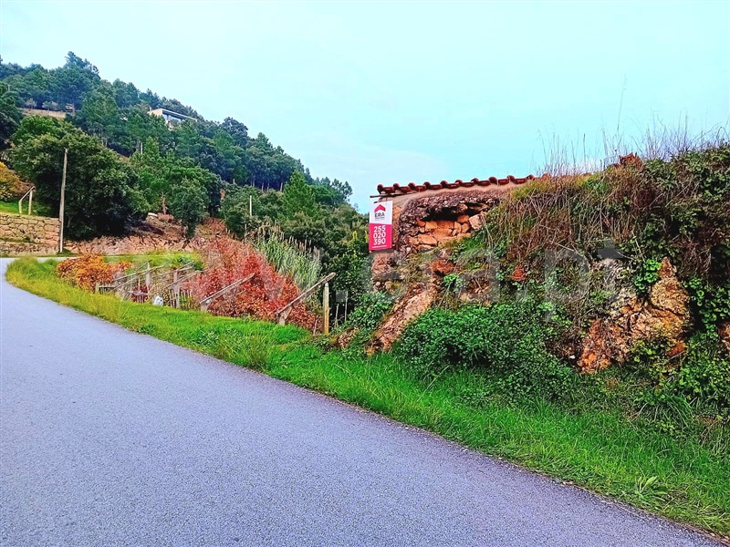 Moradia / Baião, Santa Cruz do Douro e São Tomé de Covelas