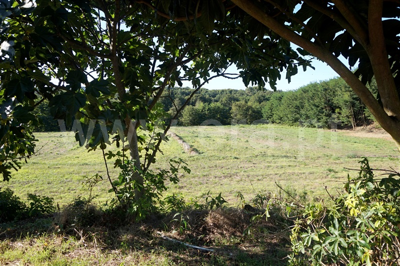Moradia  Barcelos, Rio Covo (Santa Eugénia) - 1082829 - 3