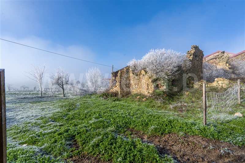 Moradia / Bragança, Soutelo