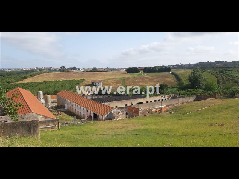 Moradia / Cadaval, Lamas e Cercal
