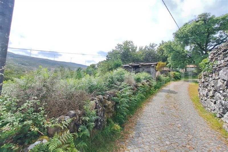 Moradia  Caminha, Estorãos Arga - 1489874 - 8
