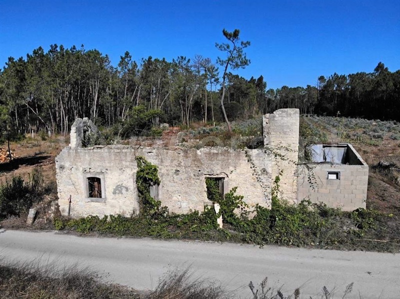 Moradia / Cantanhede, Sanguinheira