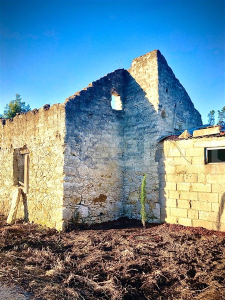 Moradia  Cantanhede, Cadima - 1445836 - 2