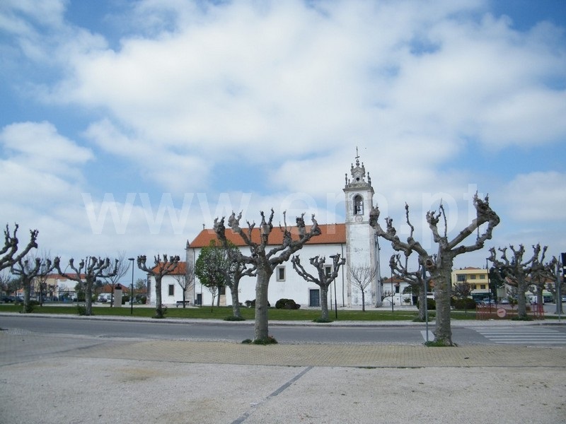 Moradia  Cantanhede, Cadima - 1445836 - 4