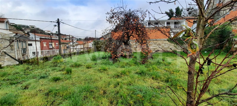 Moradia  Carregal do Sal, Beijós - 1223446 - 5