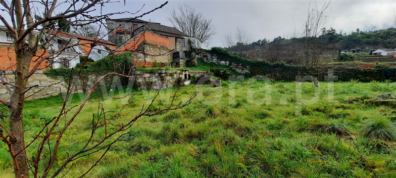 Moradia  Carregal do Sal, Beijós - 1223446 - 9