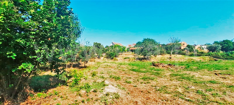 Moradia  Carregal do Sal, Beijós - 1335620 - 1