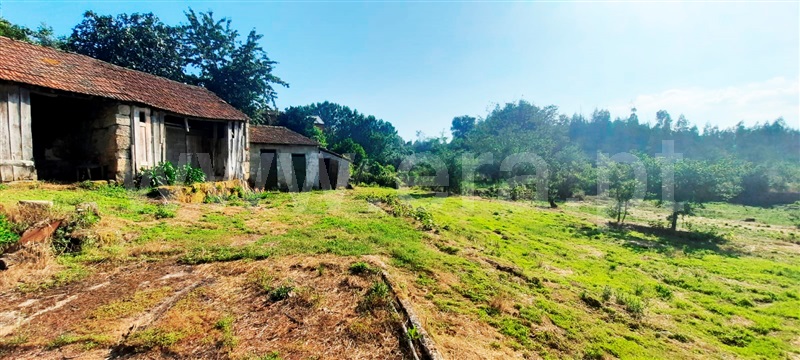 Moradia  Carregal do Sal, Beijós - 1335620 - 4