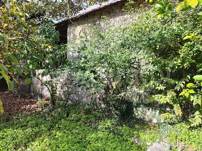 Moradia  Carregal do Sal, Cabanas de Viriato - 1464330 - 5