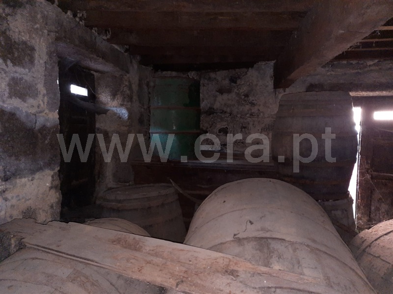 Moradia  Carregal do Sal, Oliveira do Conde - 1392471 - 11