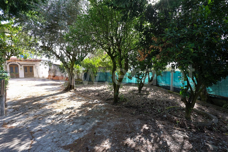 Moradia  Carregal do Sal, Oliveira do Conde - 1468999 - 3