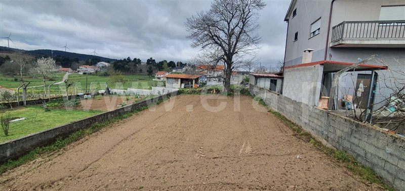Moradia  Castro Daire, Almofala - 1394436 - 14
