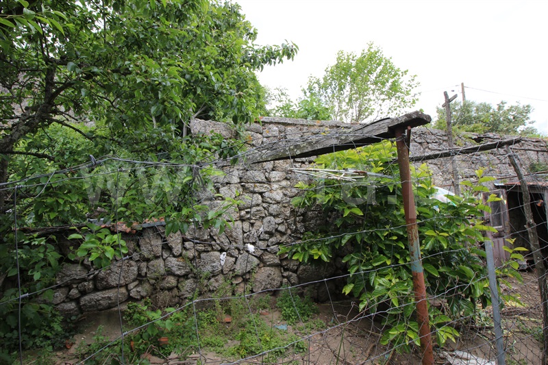 Moradia  Celorico da Beira, Celorico da Beira - 1177192 - 3