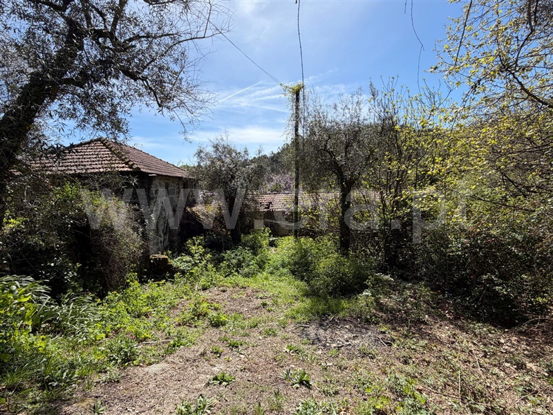 Moradia / Celorico de Basto, Arnóia