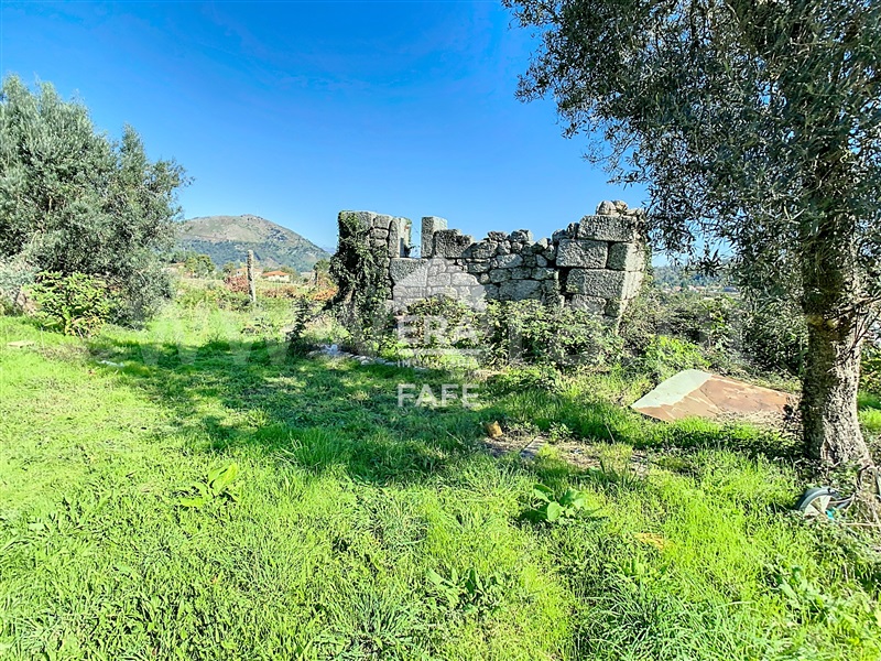 Moradia  Celorico de Basto, Basto (São Clemente) - 1339485 - 1