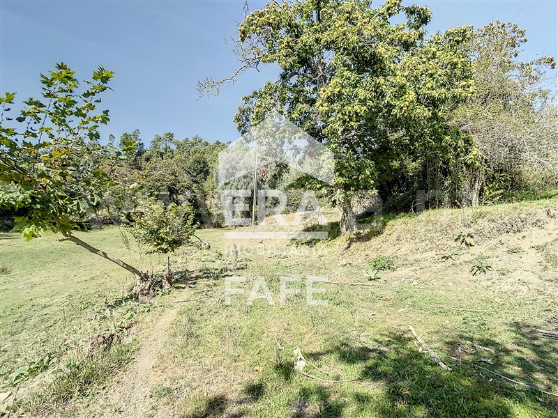 Moradia  Celorico de Basto, Vale de Bouro - 1364649 - 9