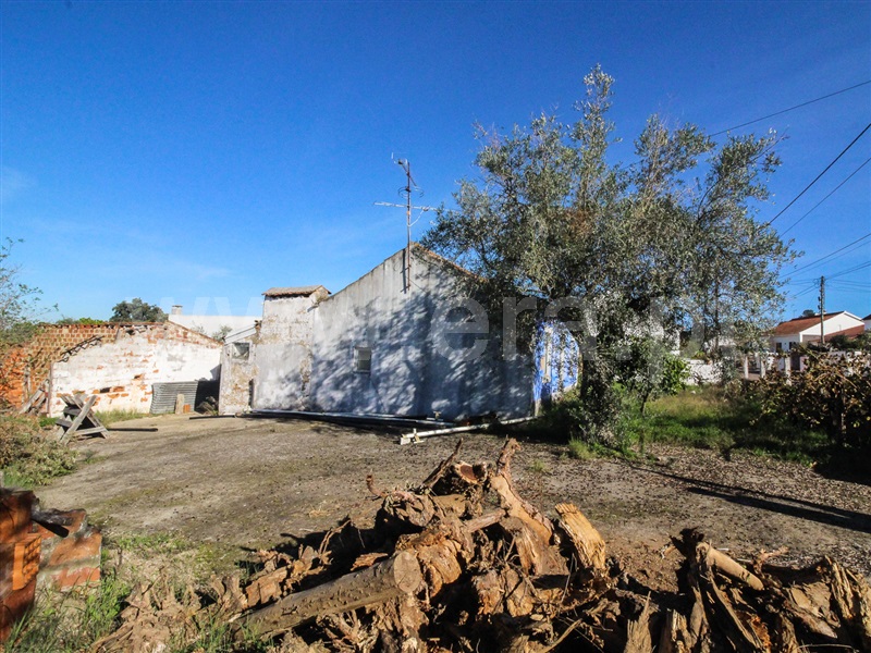 Moradia  Chamusca, Carregueira - 1242208 - 31