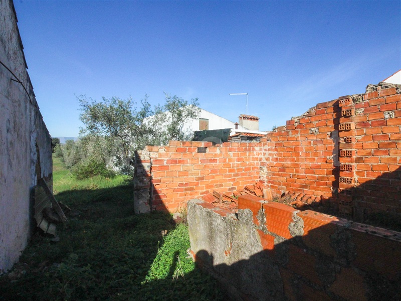 Moradia  Chamusca, Carregueira - 1242208 - 33