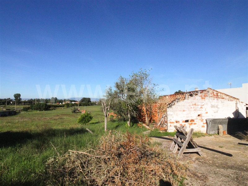 Moradia  Chamusca, Carregueira - 1242208 - 35