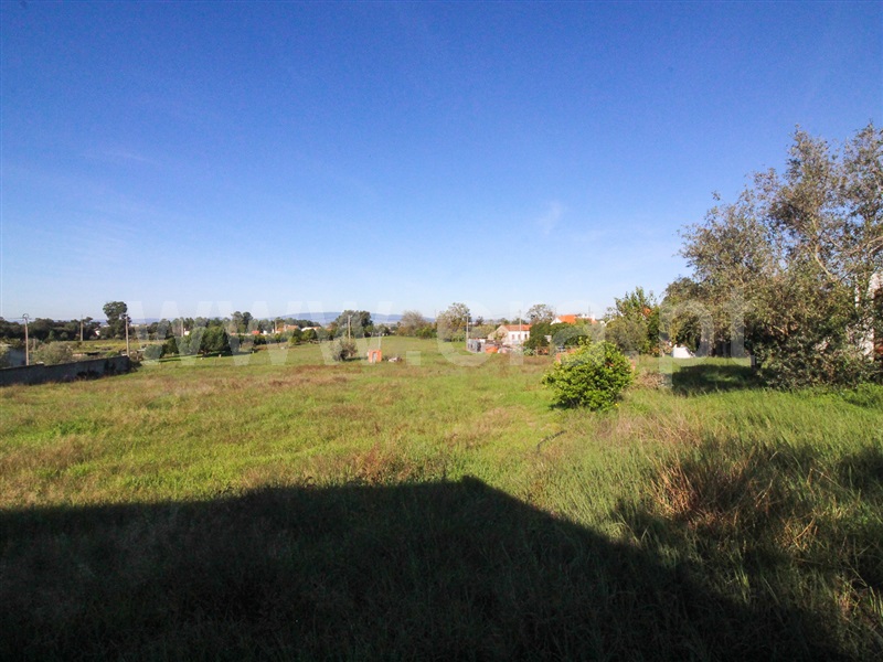 Moradia  Chamusca, Carregueira - 1242208 - 36