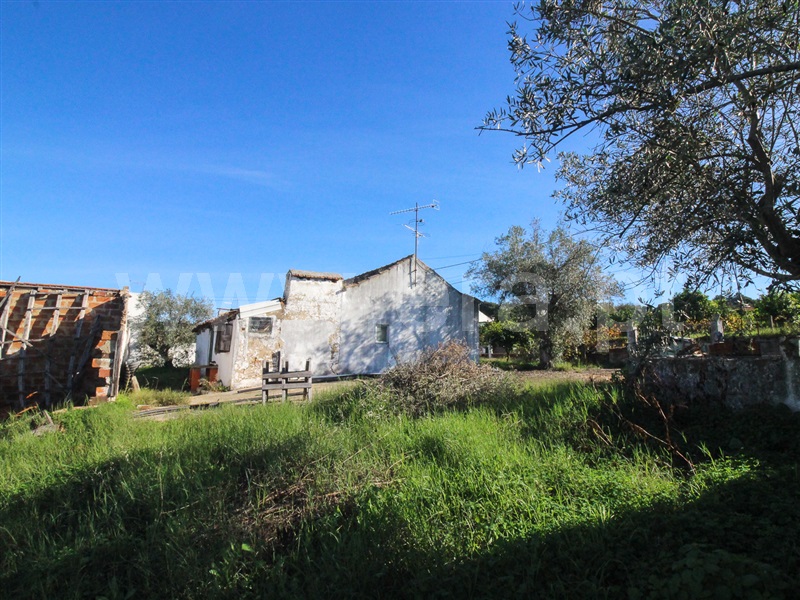 Moradia  Chamusca, Carregueira - 1242208 - 37