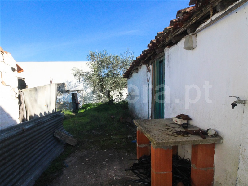 Moradia  Chamusca, Carregueira - 1242208 - 38